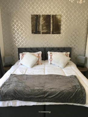 2 room Flat central Swansea